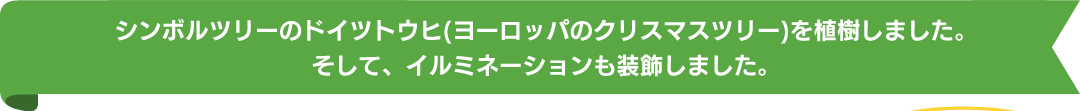 シンボルツリーのドイツトウヒ(ヨーロッパのクリスマスツリー)を植樹しました。そして、イルミネーションも装飾しました。